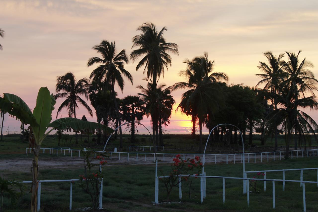 Wera Beach Kadumbul Bagian luar foto